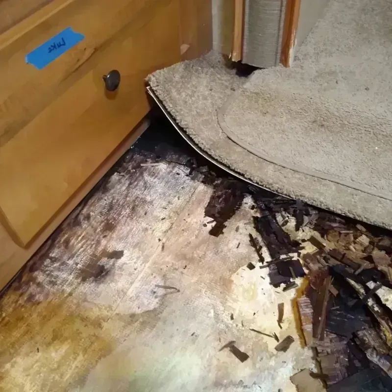 Wood Floor Water Damage in South Holland, IL